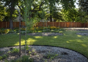 Thirteen drought-tolerant trees to shade the grounds
