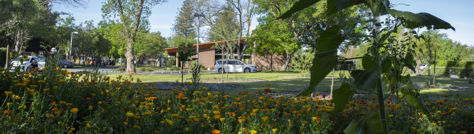 pictured is the outside of the SacDharma building and grounds