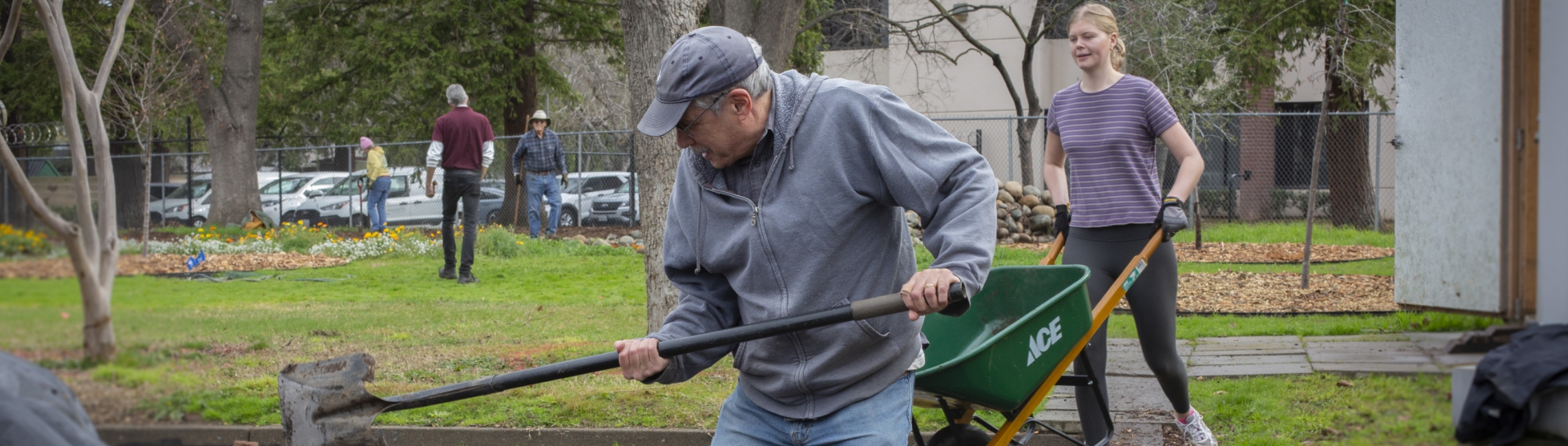 a man shovels dirt, a woman brings a wheelbarrow close to him